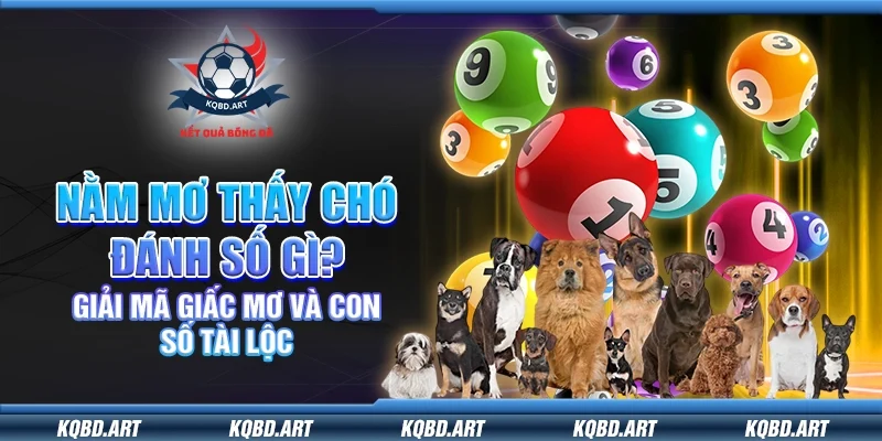 Những con số tài lộc gắn với giấc mơ về chó