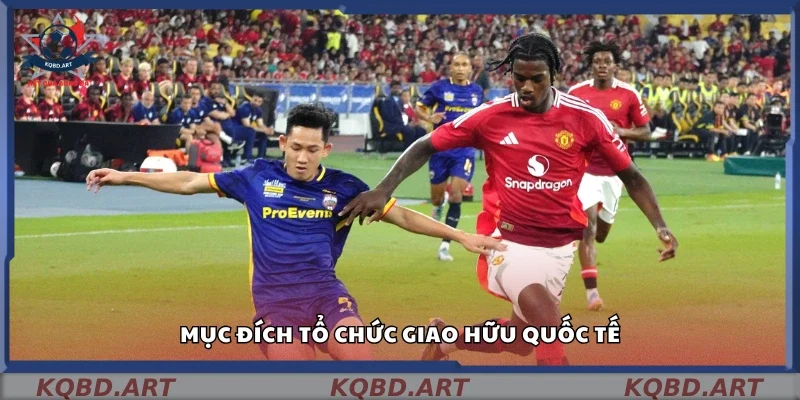 Các mục đích chính tổ chức giao hữu quốc tế