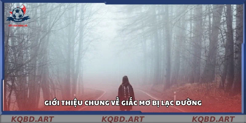 Tổng quan về giấc mơ đi lạc